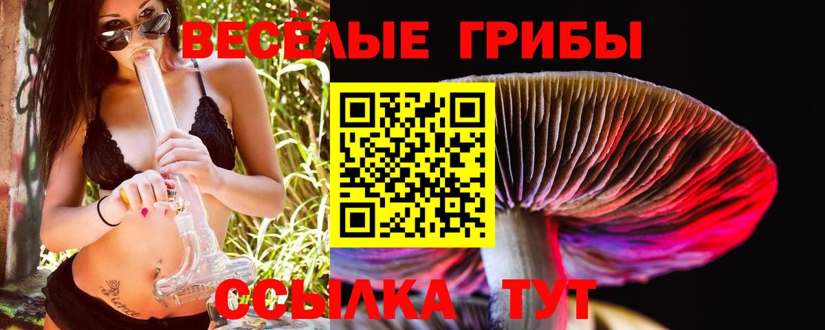 Галлюциногенные грибы Psilocybine cubensis Киселёвск