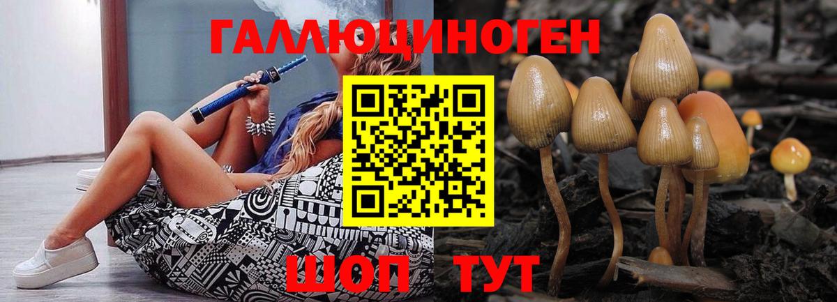 Киселёвск  Галлюциногенные грибы мицелий  Вход с VPN 